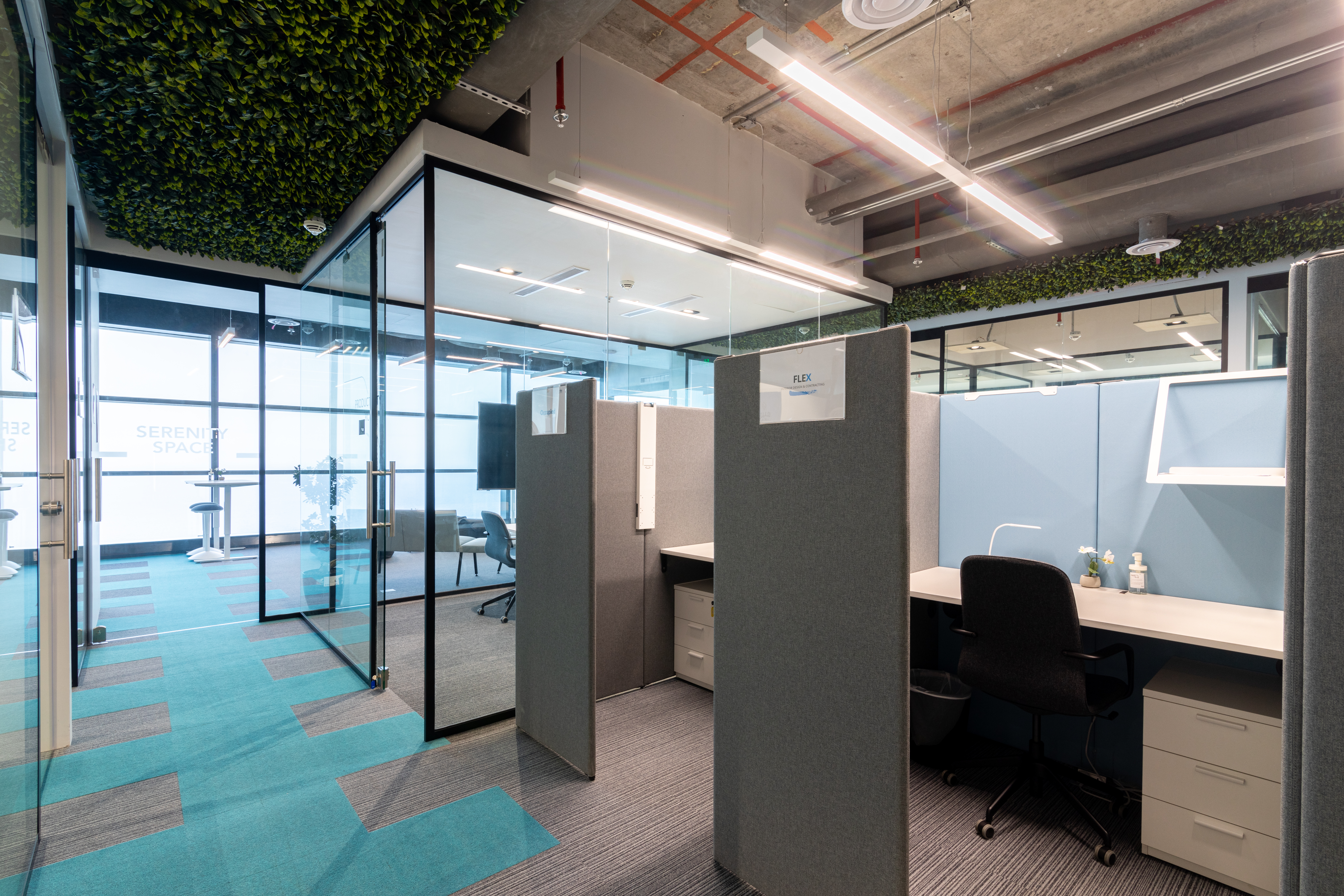 Whitespace — gallery